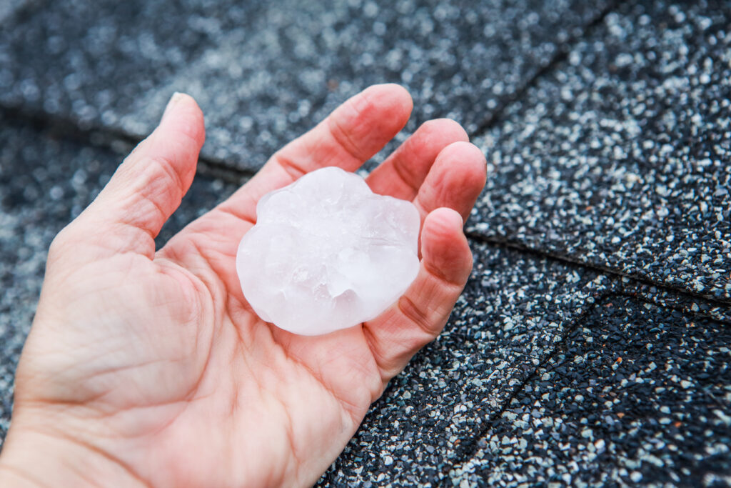 A large piece of hail that has caused roof storm damage