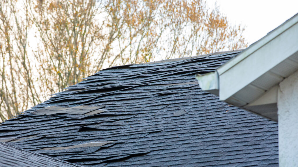 An image of a roof, storm damage has caused shingles to pull away from the roof.